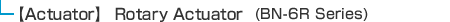 【Actuator】 Rotary Actuator (BN-6R Series)